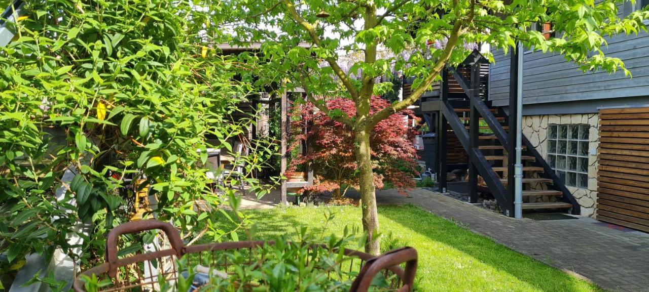 Apartment Rose Fritzlar Luaran gambar